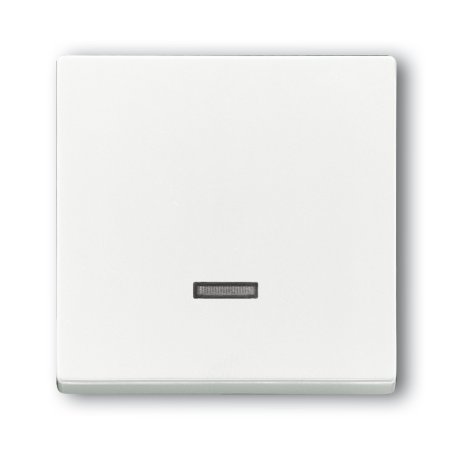 Busch-Jaeger 6543-84-101 White