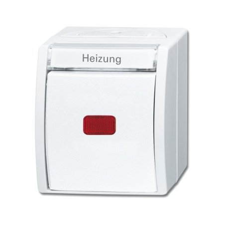 Busch-Jaeger 2601/6 SKWNH-54 1P Blanc