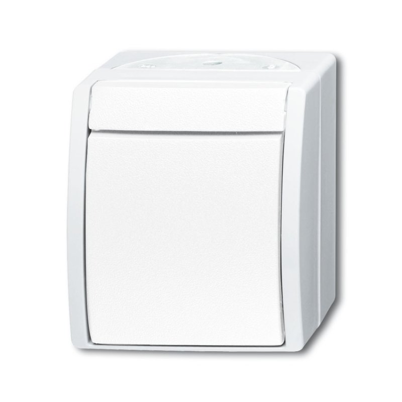 Busch-Jaeger 1484-0-0380 interrupteur d'éclairage Blanc