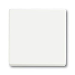 Busch-Jaeger 1751-0-3027 light switch Plastic White