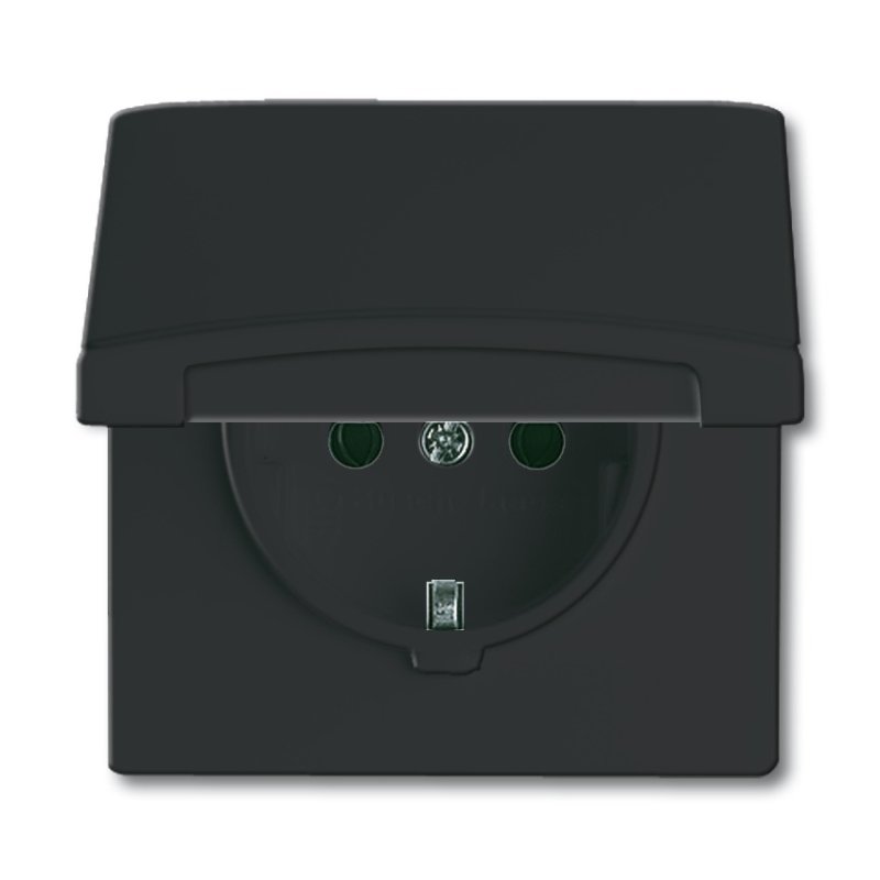 Busch-Jaeger 2064-0-0290 socket-outlet CEE 7/3 Black