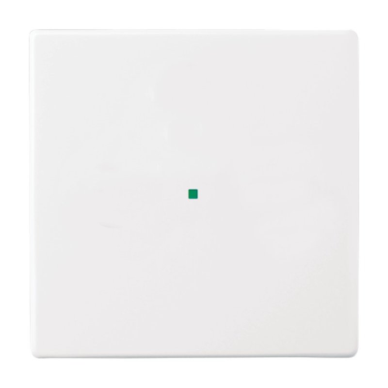 Busch-Jaeger 2CKA001582A0364 not categorized