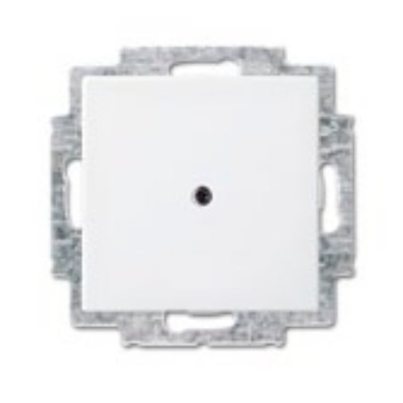 Busch-Jaeger 1715-0-0319 wall plate/switch cover White