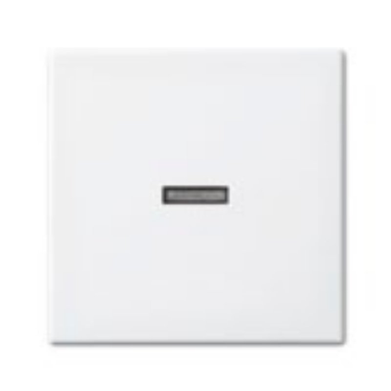 Busch-Jaeger 1731-0-2009 wall plate/switch cover White