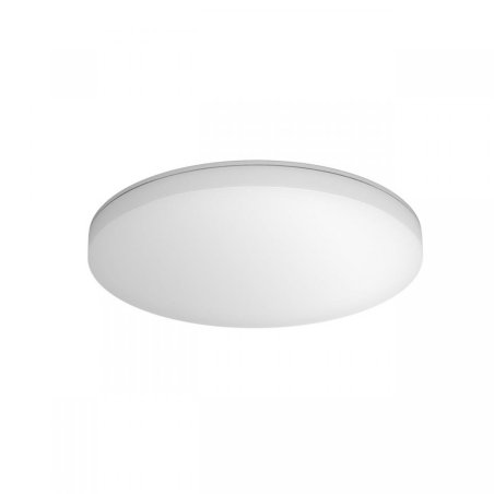 STEINEL RS PRO R20 basic SC ceiling lighting Non-changeable bulb(s) LED 15.3 W