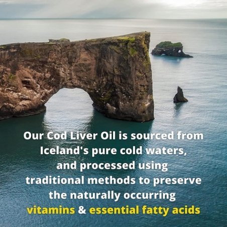 Garden of Life Olde World Icelandic Cod Liver Oil Liquid Lemon Mint Flavor 1000mg Omega 3 Fish Oil 47 Servings 8 Fl Oz