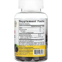 Jarrow Formulas Probiotic Prebiotic Blackberry 50 Gummies