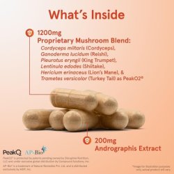 Jarrow Formulas Immune Optimizer with Cordyceps, Reishi, Lion's Mane, Shiitake