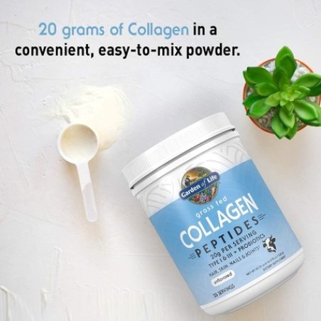 Garden of Life Collagen Beets Beauty Bundle Unflavored Collagen Peptides Powder 28 Servings Organic Beets Beauty