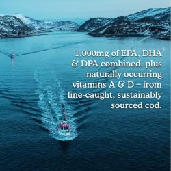 Garden of Life Dr. Formulated Alaskan Cod Liver Oil Lemon Flavor 80 Servings 1000mg Omega 3s Vitamins A & D 400mL