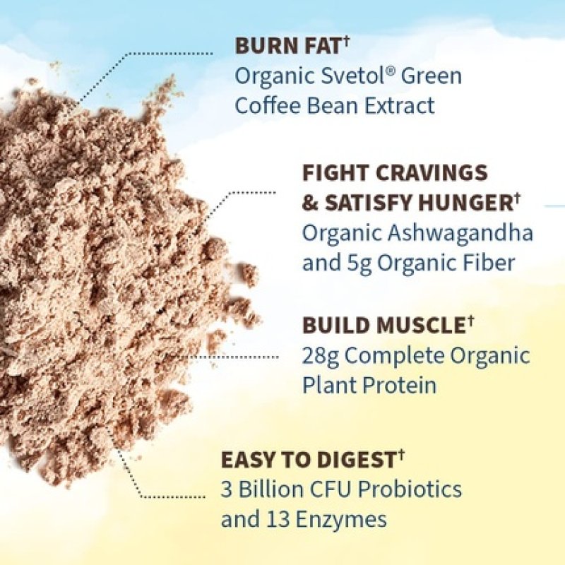 Garden of Life Raw Organic Fit Vegan Protein Powder Chocolate 28g Plant Based Protein for Weight Management 20 Servings