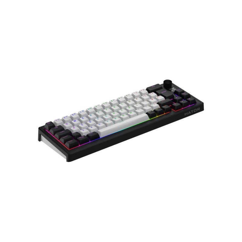 Clavier Gamer sans fil mécanique (Hator Aurum Linear) Hator Skyfall 65 TKL RGB (Noir)