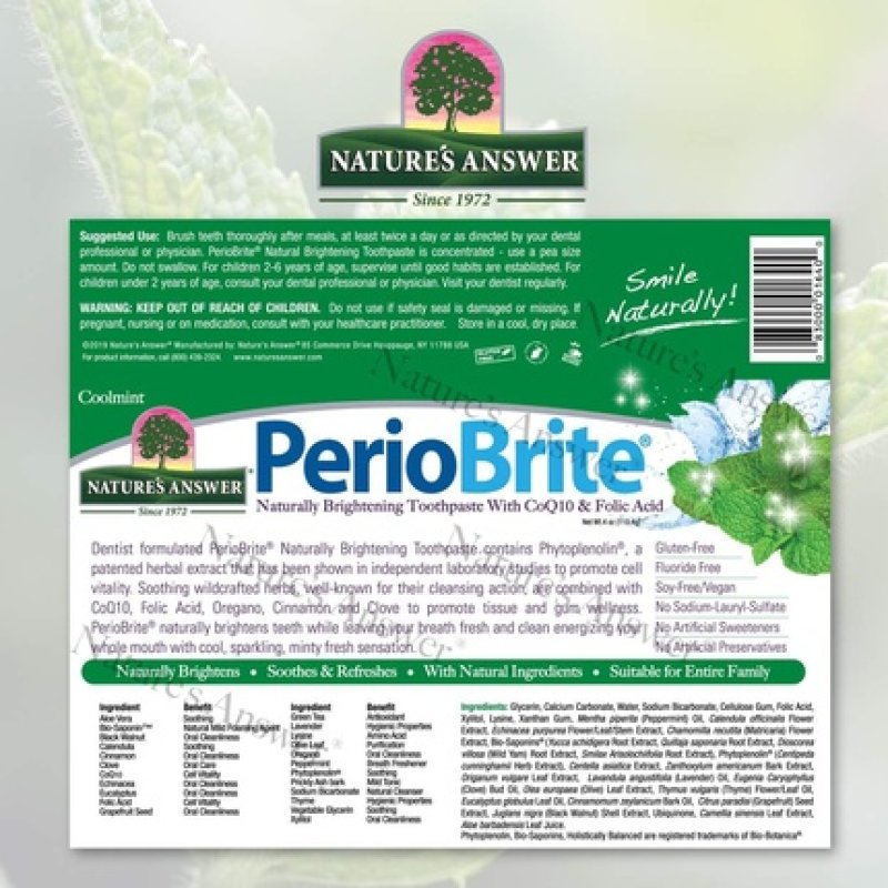Nature's Answer Perio Brite Toothpaste 113g Refreshing Mint