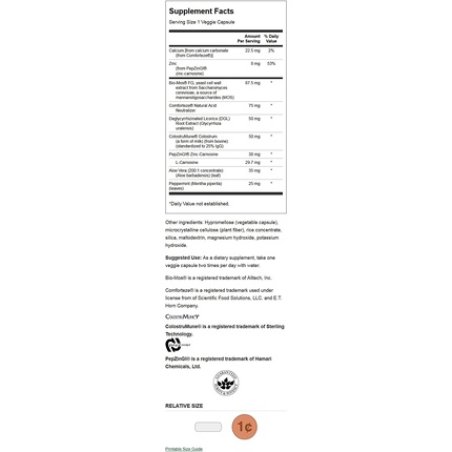 Swanson Stomach Defense Essentials 60 Veg Capsules