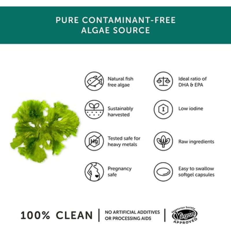 Together Health Vegan Algae Oil Omega 3 Pure Algae Omega 3 Capsules Perfect DHA & EPA Ratio 30 Softgels