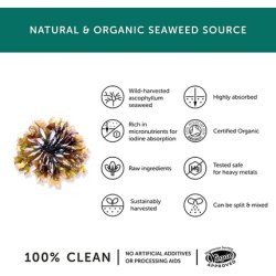 Organic Seaweed Iodine Supplement from Together Health 30 Vegecaps