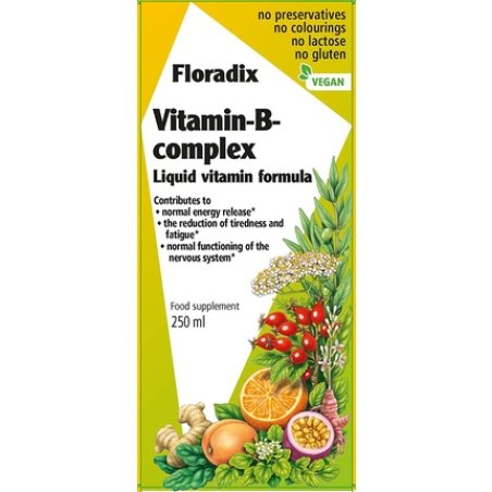 Floradix Vitamin B Complex Liquid Formula 250ml
