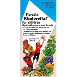 SALUS Floradix Kindervital 500ml