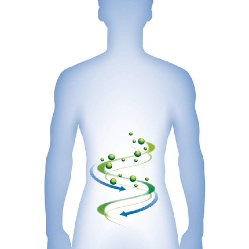 Floradix Dandelion Leaf Organic Herbal Tea 15 Bags