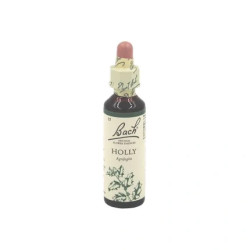 Schwabe Pharma Italia Fiori Di Bach 15 Holly For Hatred Envy And Jealousy Oral Drops 20 Ml