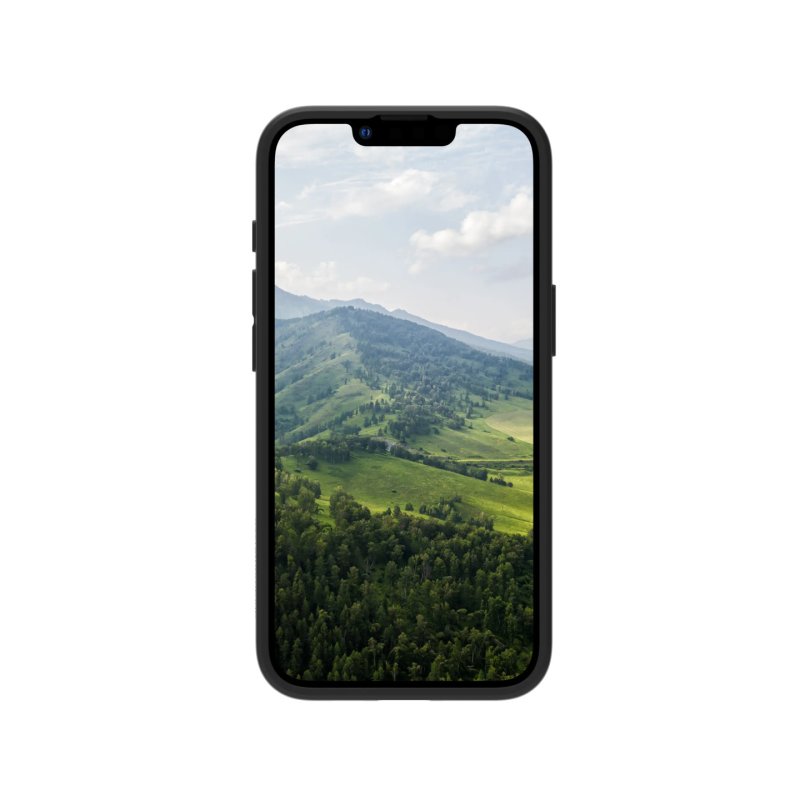 Bulk-Nuuk-iPhone 16e-BK