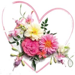 Premium Collection by Jean Spring Rose Heart Napkins