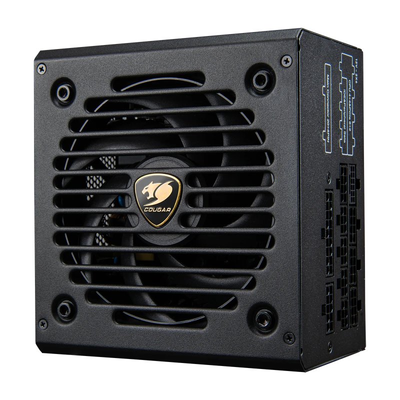 COUGAR CGRGDN-850 unité d'alimentation d'énergie 850 W 20 4 pin ATX ATX Noir