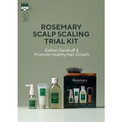 AROMATICA Rosemary Scalp Scaling Trial Kit Gift Set Mini Wooden Hair Brush Shampoo 3.38 fl. oz. Root Enhancer 1.01 fl.