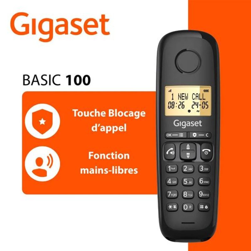 Téléphone résidentiel BASIC100DUO
