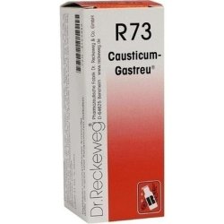 Dr. Reckeweg R73 50ml - Parapharmacy Product