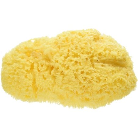 Natural Sea Sponge Size 4