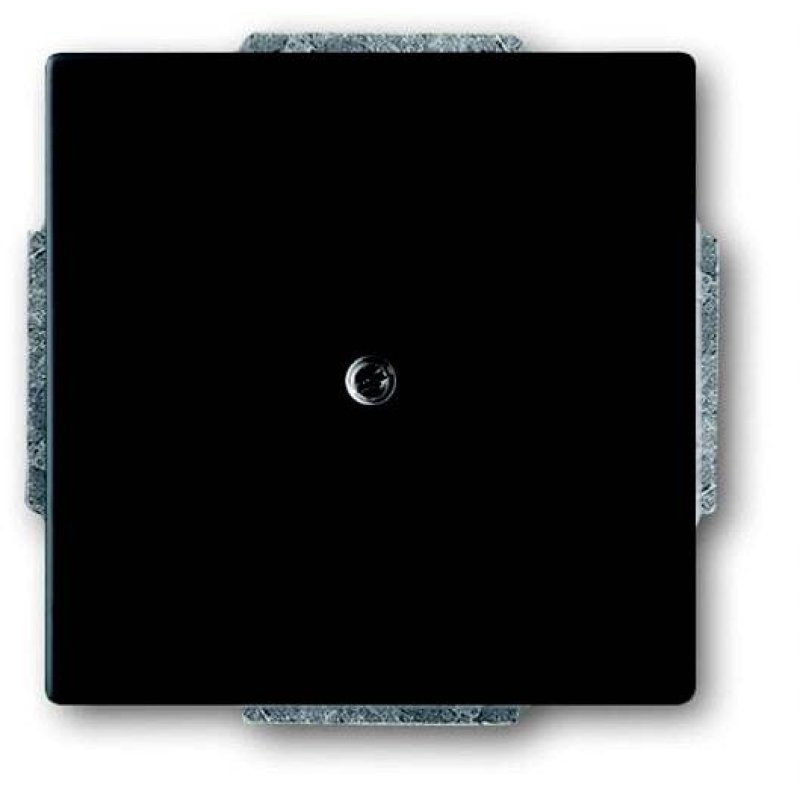 BUSCH JAEGER BJ 1742-885 Blindzentralscheibe future linear schwarz matt