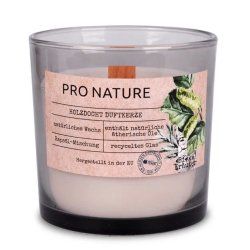 Müller Candles Pro Nature Scented Candle in Glass with Wooden Wick and Rapeseed Wax - Birch