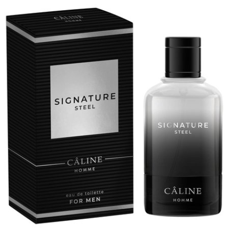 Signature Steel EDT 60ml