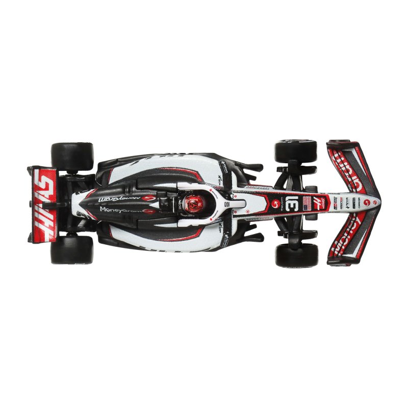 Hot Wheels RC Tm Haas - Driver 1