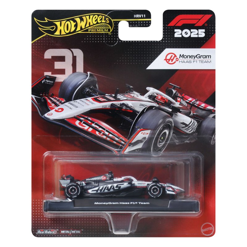 Hot Wheels RC Tm Haas - Driver 1
