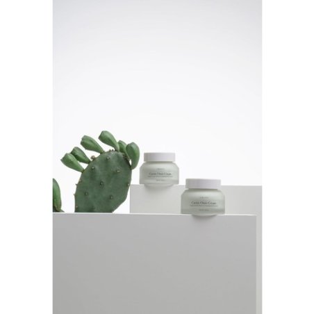 Cactus Oasis Cream Organic Certified Vegan Natural Skin Barrier