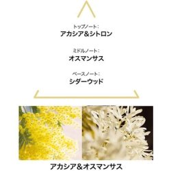 Le Couvent compatible - Botanical Cologne Aqua Majestae EDT 100 ml