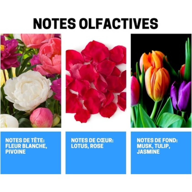 Ayat Perfume Flower Bloom Fragrance Spray 250ml - Mist for Body with Oriental Fragrances - Arabian Fragrance for Men