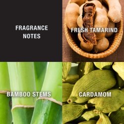 Lucky You for Men Cologne Spray 100ml