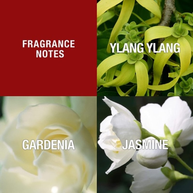 Design by Paul Sebastian for Women Fine Parfum Spray 1.7oz