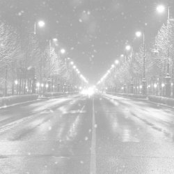 Derek Lam 10 Crosby Silent St 8 Oz Fragrance Mist - Floral White Musk for Women