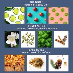 Fila Black Invigorating and Spicy EDT Fragrance and Body Spray for Him - Extra Strength 2 pc Gift Set