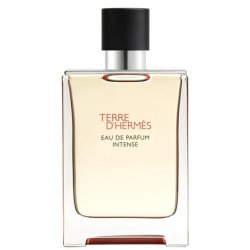 Hermes Terre D'Hermes Intense Eau De Parfum Spray 100ml Product Without Packaging