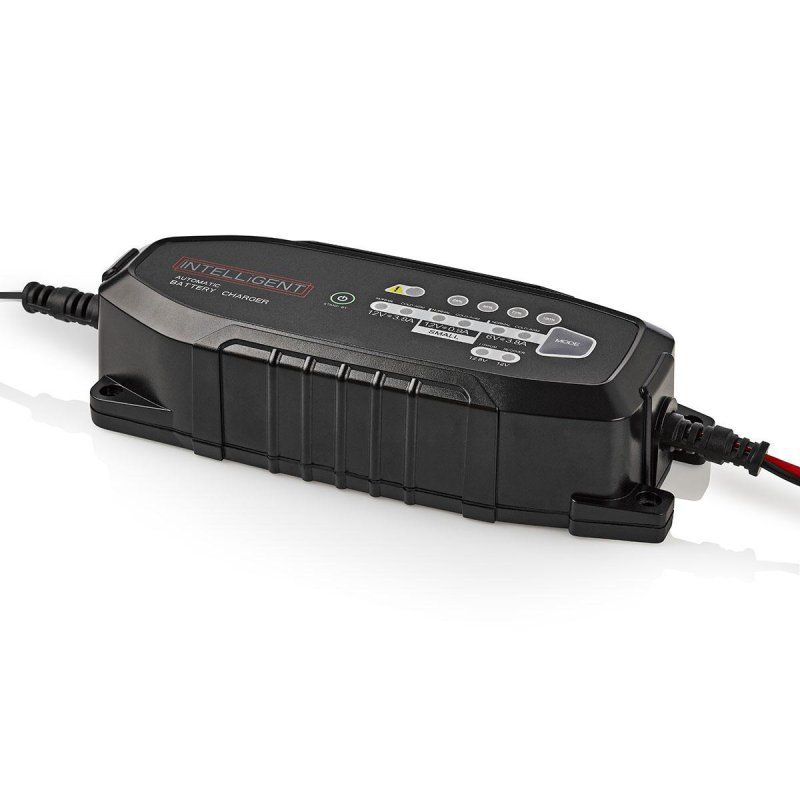 Chargeur de batterie plomb acide 6 / 12 / 12.8 V DC | 3.8 A *