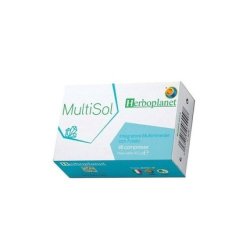Herboplanet Multisol Mineral and Folic Acid Supplement 48 Tablets