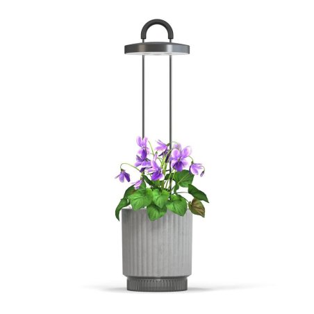 Click and Grow - HydroVase - Grey