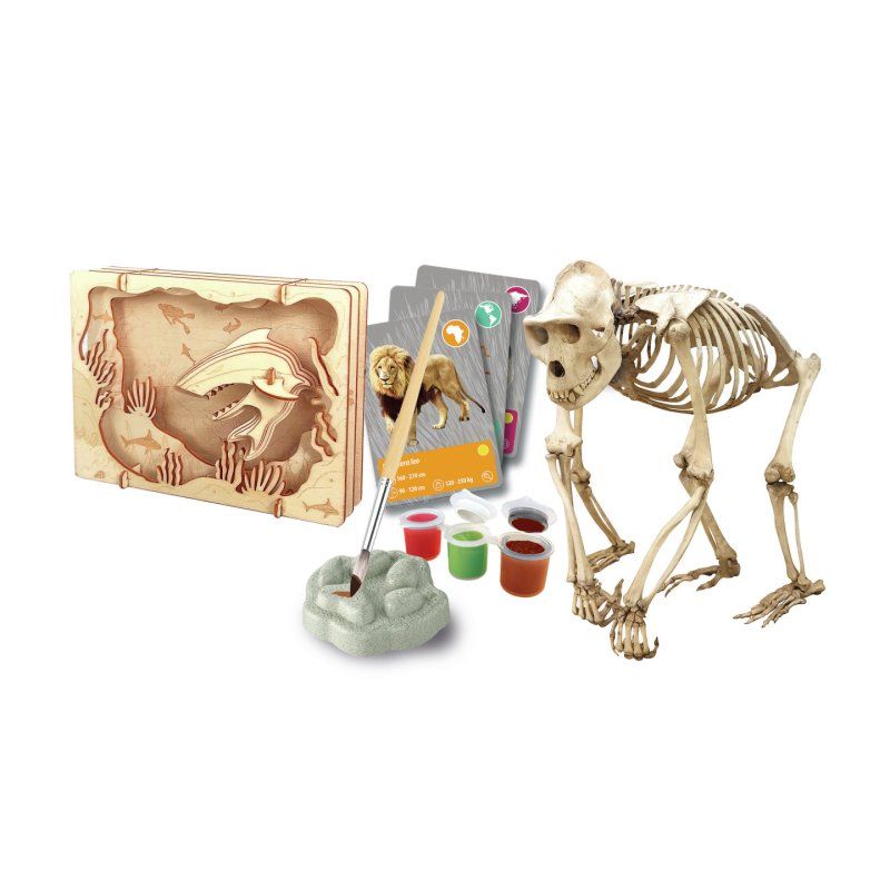 COF VR ANIMAUX PLANETE TERRE