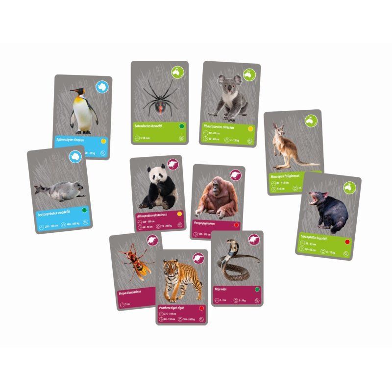 COF VR ANIMAUX PLANETE TERRE