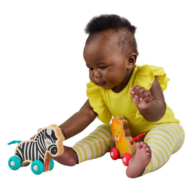 LION ET ZEBRE POUSSER FP